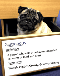 gluttonous.fw